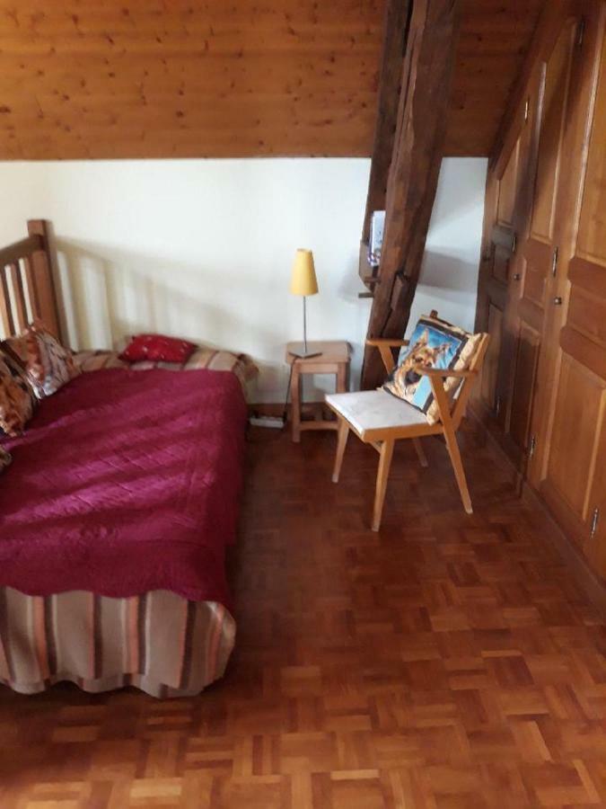 Gite Les BrulisChâtillon-sur-Loire エクステリア 写真